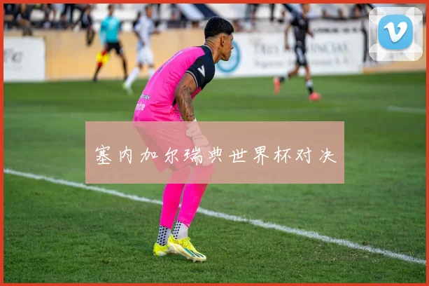 塞内加尔瑞典世界杯对决