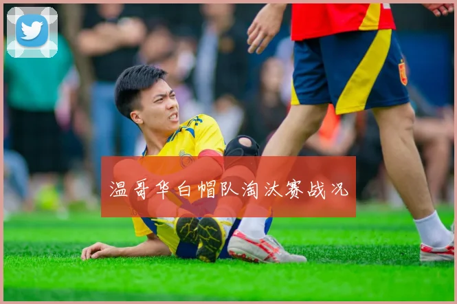 温哥华白帽队淘汰赛战况