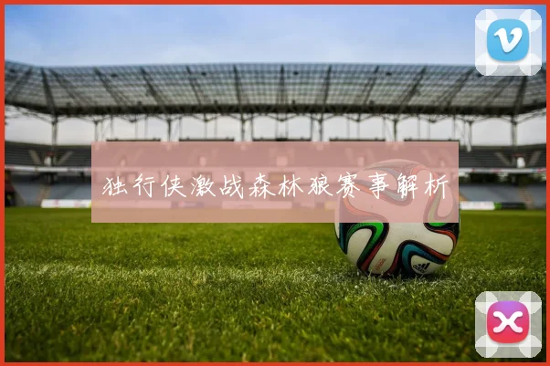 独行侠激战森林狼赛事解析