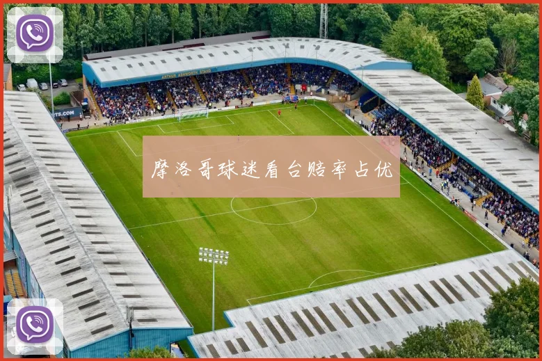 摩洛哥球迷看台赔率占优