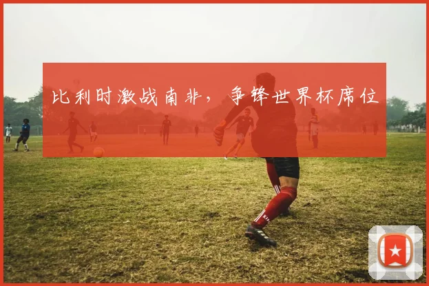 比利时激战南非,争锋世界杯席位
