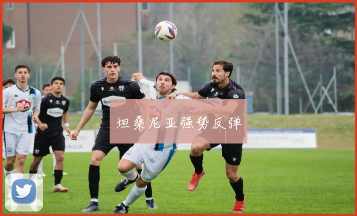 坦桑尼亚强势反弹