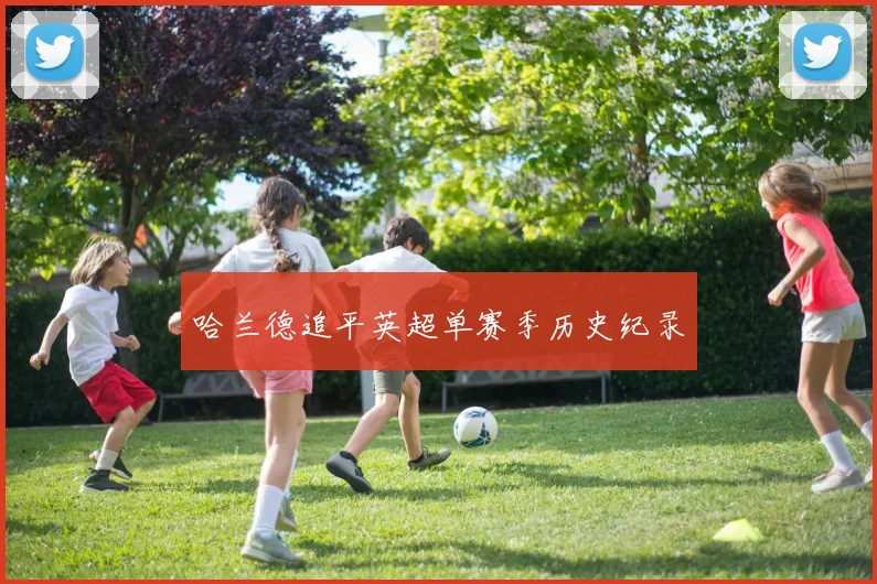哈兰德追平英超单赛季历史纪录