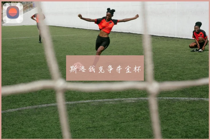 斯洛伐克争夺金杯