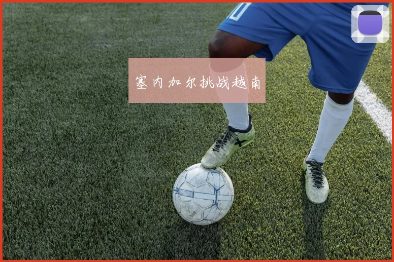 塞内加尔挑战越南