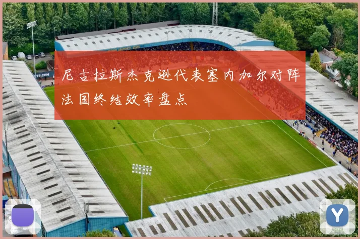 尼古拉斯杰克逊代表塞内加尔对阵法国终结效率盘点