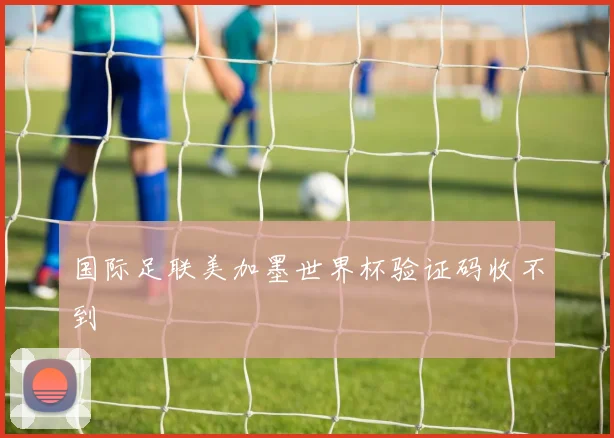 国际足联美加墨世界杯验证码收不到