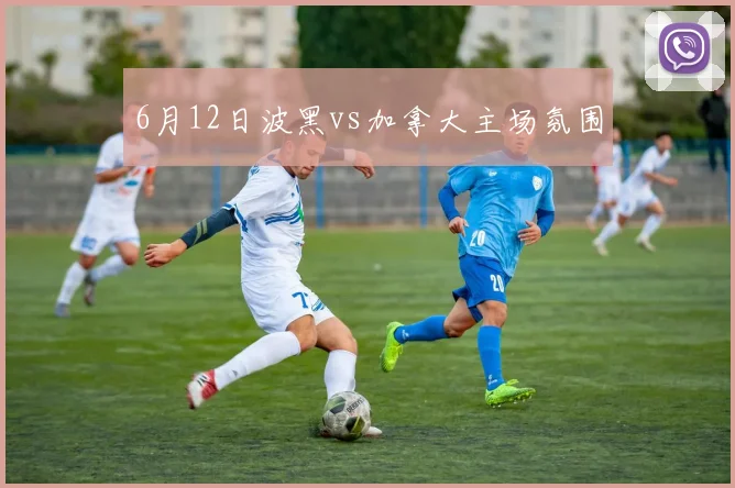 6月12日波黑vs加拿大主场氛围