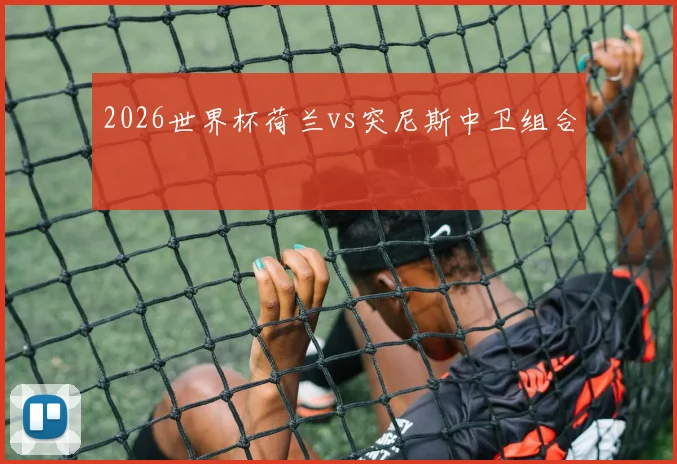 2026世界杯荷兰vs突尼斯中卫组合