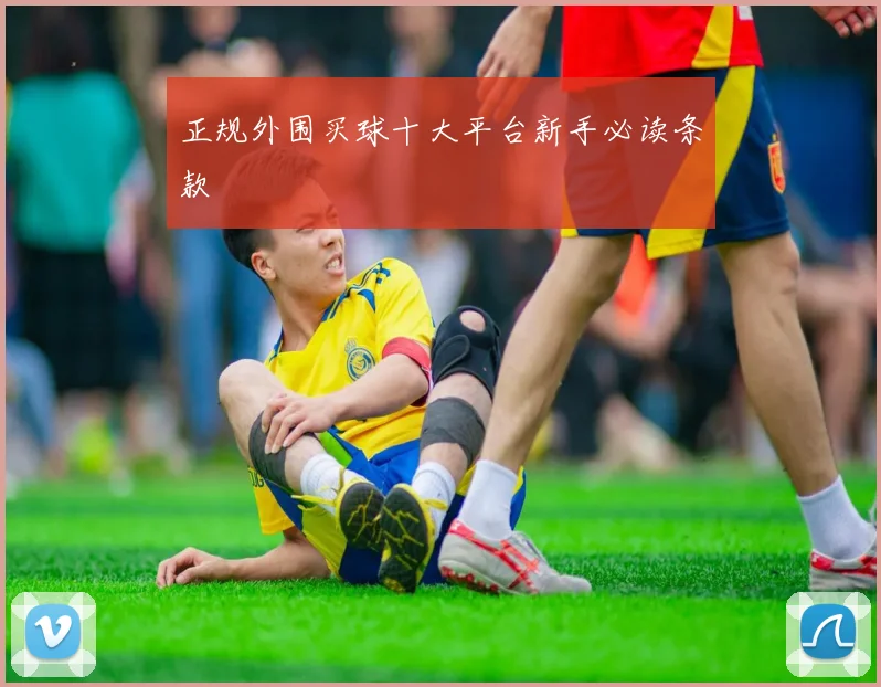 正规外围买球十大平台新手必读条款