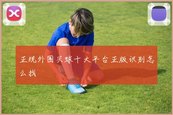 正规外围买球十大平台正版识别怎么找